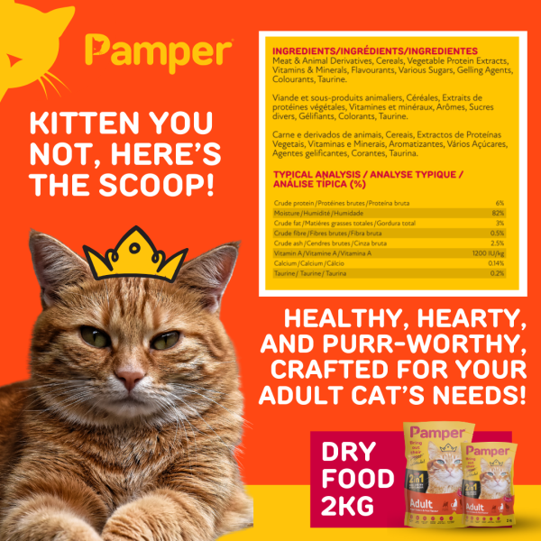 Pamper Dry Cat Food 2 in 1 Roast Chicken & Fish Flavour Adult Dry Cat Food 2kg - Image 4