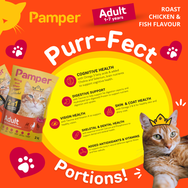 Pamper Dry Cat Food 2 in 1 Roast Chicken & Fish Flavour Adult Dry Cat Food 2kg - Image 5