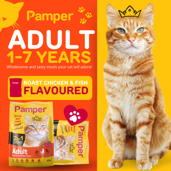 Pamper Dry Cat Food 2 in 1 Roast Chicken & Fish Flavour Adult Dry Cat Food 4kg - Image 2