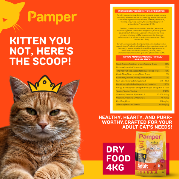 Pamper Dry Cat Food 2 in 1 Roast Chicken & Fish Flavour Adult Dry Cat Food 4kg - Image 5