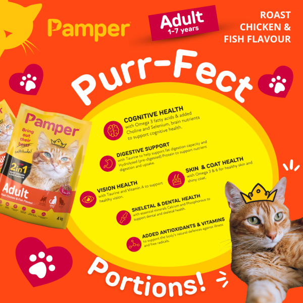 Pamper Dry Cat Food 2 in 1 Roast Chicken & Fish Flavour Adult Dry Cat Food 4kg - Image 4