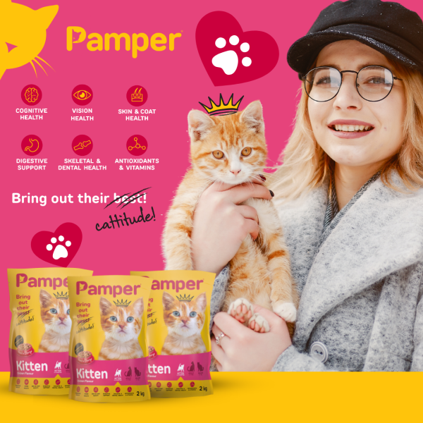 Pamper Kitten Dry Cat Food 2kg - Image 3
