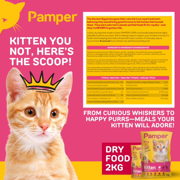 Pamper Kitten Dry Cat Food 2kg - Image 4