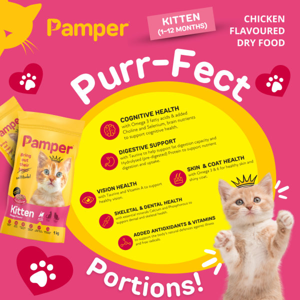 Pamper Kitten Dry Cat Food 2kg - Image 5
