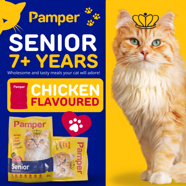 Pamper Chicken Flavour Senior Dry Cat Food 4kg - Image 2