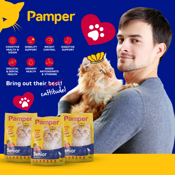 Pamper Chicken Flavour Senior Dry Cat Food 4kg - Image 3