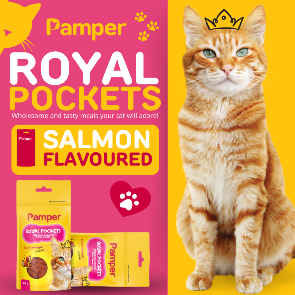 Pamper Royal Pockets Filled Cat Treats Salmon 60g - Image 2
