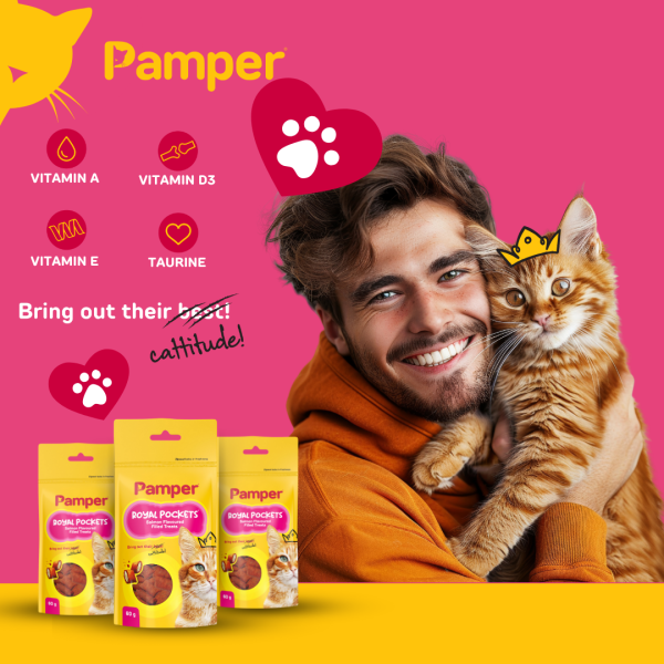 Pamper Royal Pockets Filled Cat Treats Salmon 60g - Image 3