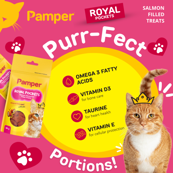 Pamper Royal Pockets Filled Cat Treats Salmon 60g - Image 5