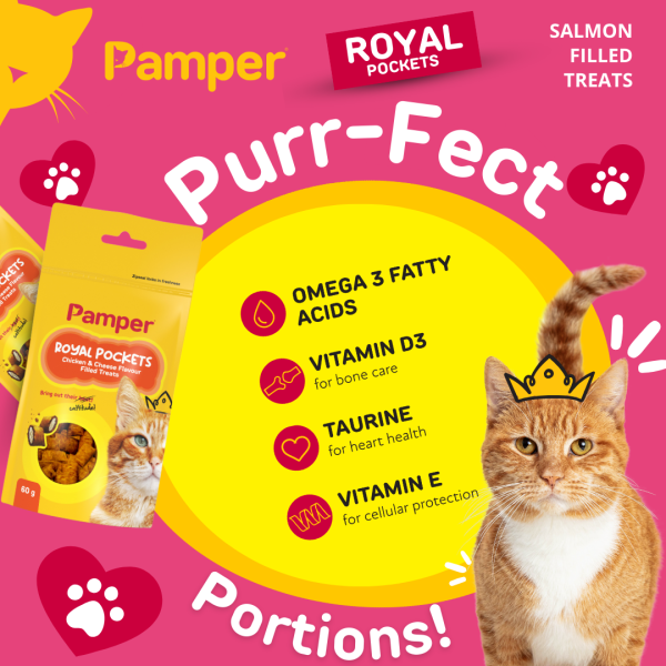 Pamper Royal Pockets Filled Cat Treats Cheese & Chicken 60g - Image 5