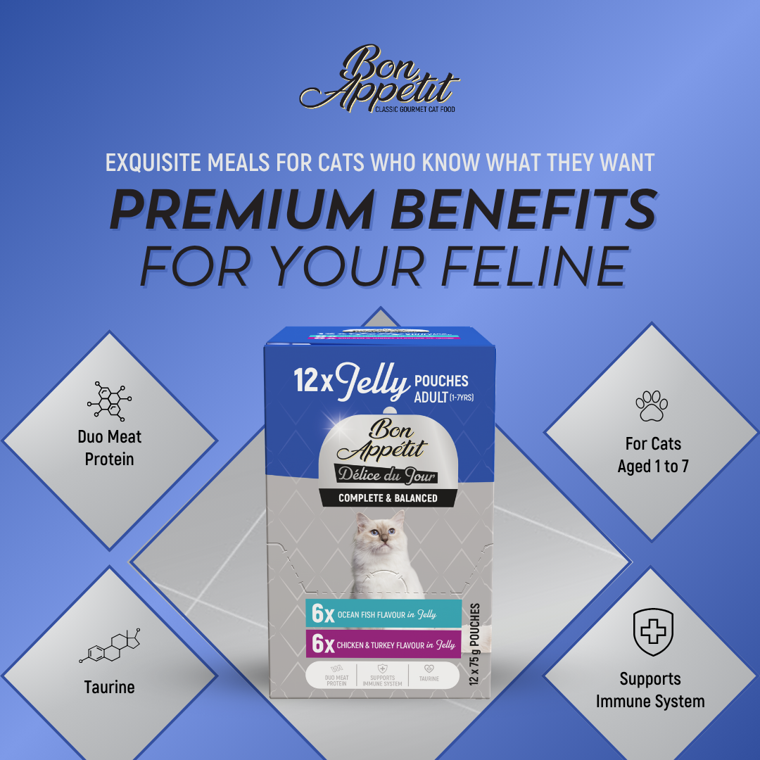 Bon Appetit Jelly Multipack (12 x 75g) Wet Cat Food - Image 5