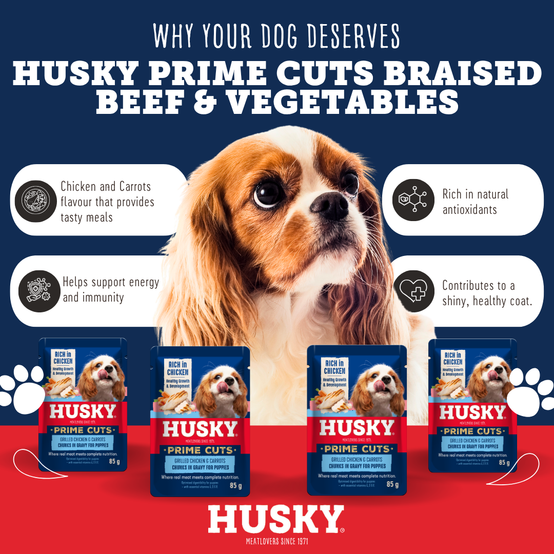 Husky Prime Cuts Puppy Roasted Chicken & Carrots (6 x 85g) Wet Dog Food Pouches - Image 3