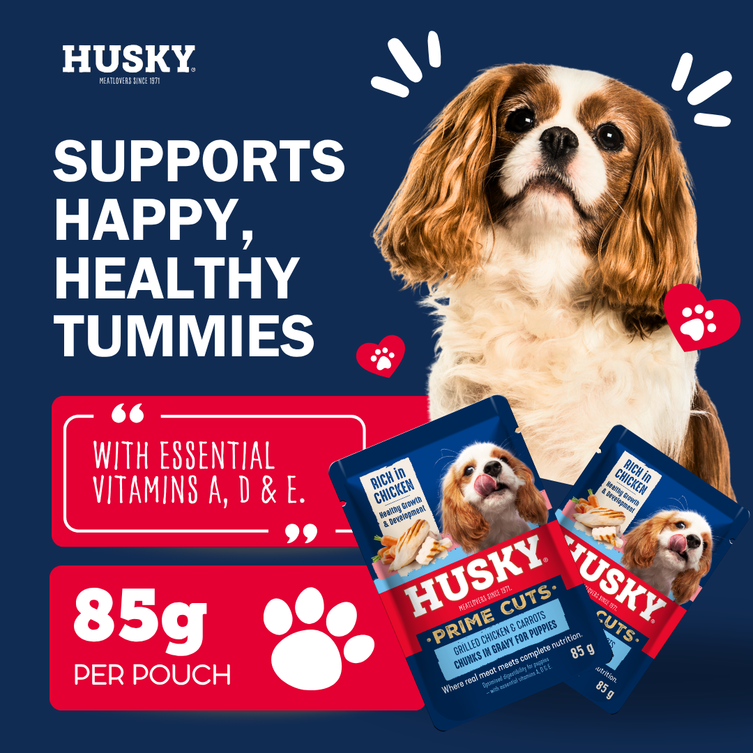 Husky Prime Cuts Puppy Roasted Chicken & Carrots (6 x 85g) Wet Dog Food Pouches - Image 4