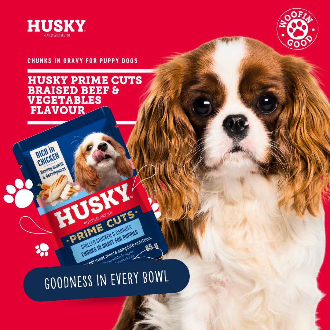 Husky Prime Cuts Puppy Roasted Chicken & Carrots (6 x 85g) Wet Dog Food Pouches - Image 6